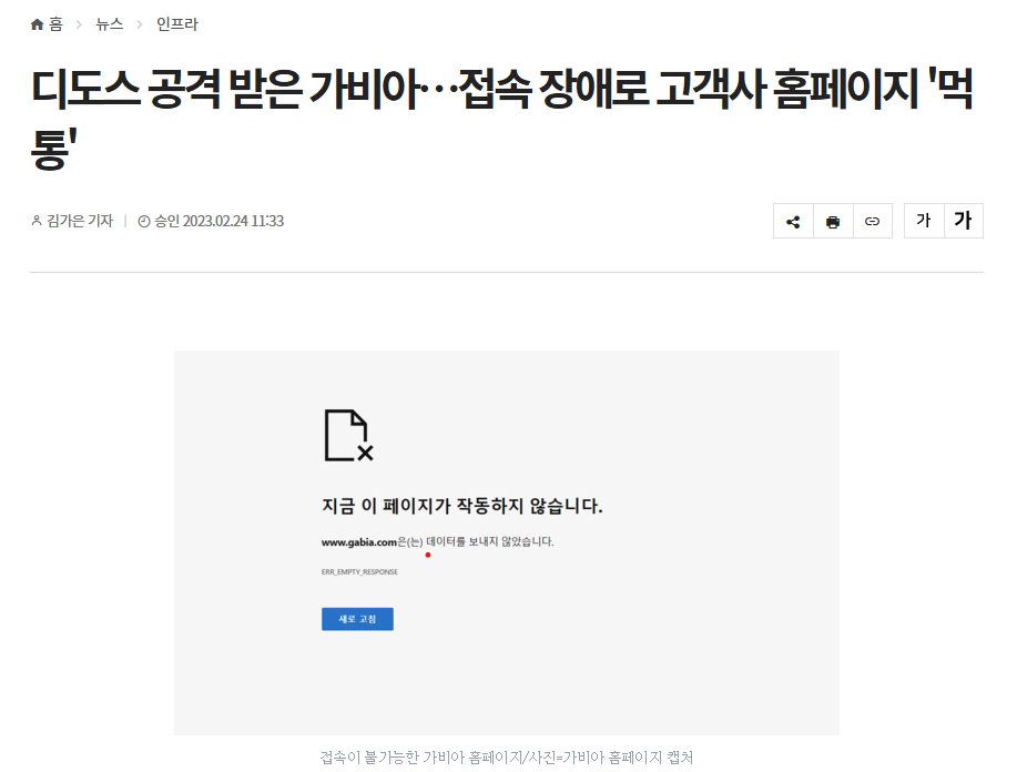 가비아 디도스 공격