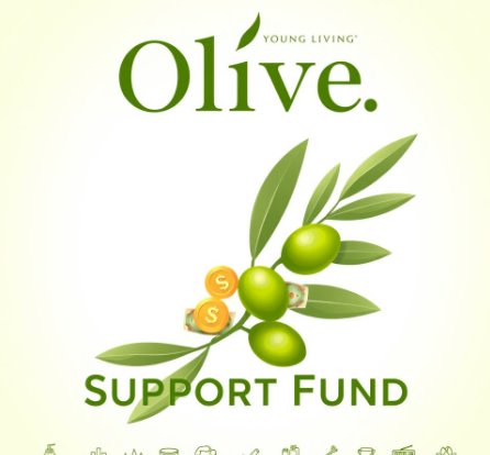 올리브영민생지원금그림