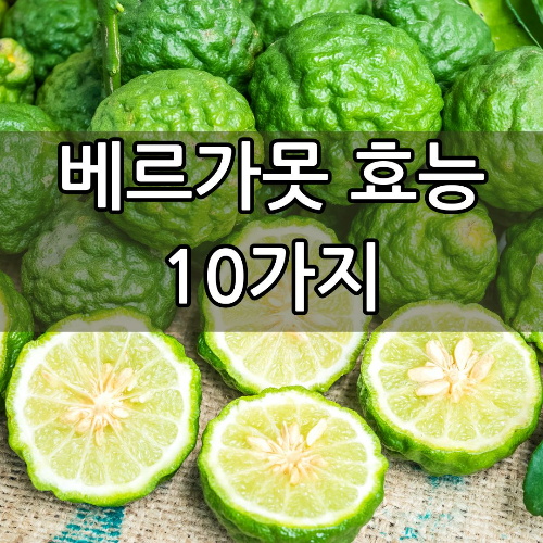 베르가못 효능