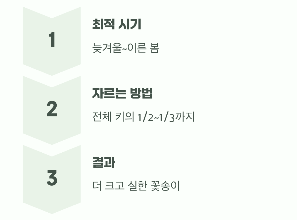 가장 중요한 비밀&amp;#44; 과감한 가지치기