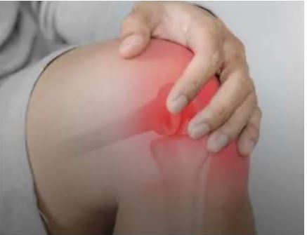 콘드로이친 효능