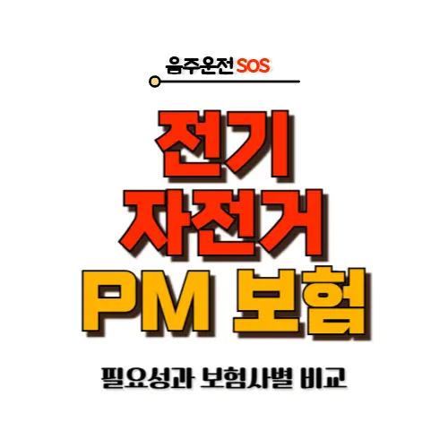 전기자전거 PM 보험