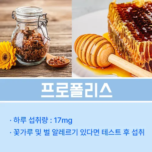 비염 프로폴리스