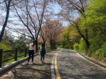 남산둘레길 코스 지도 소요시간 맛집_19