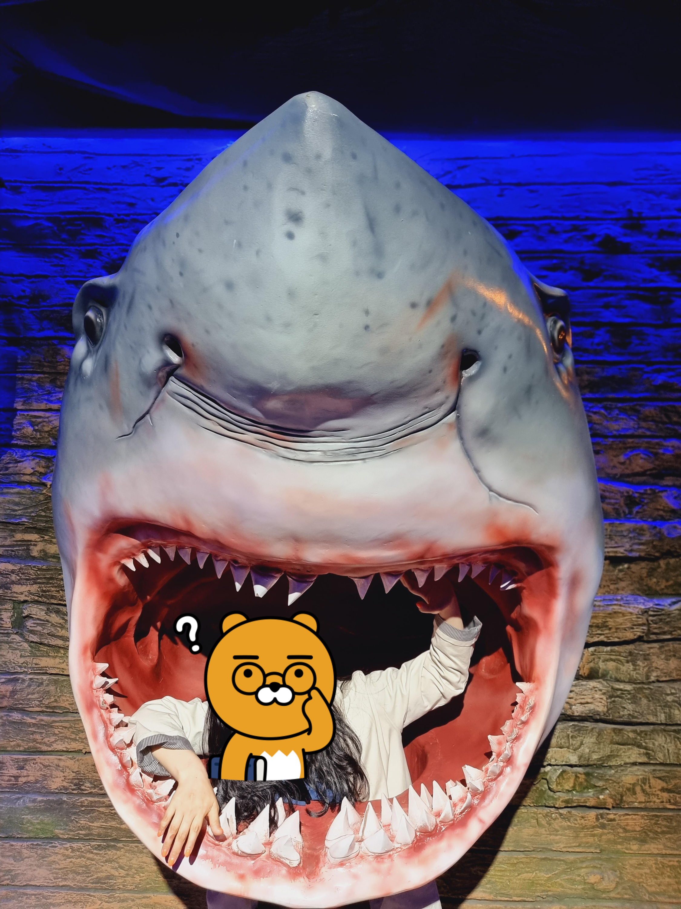 상어조형물