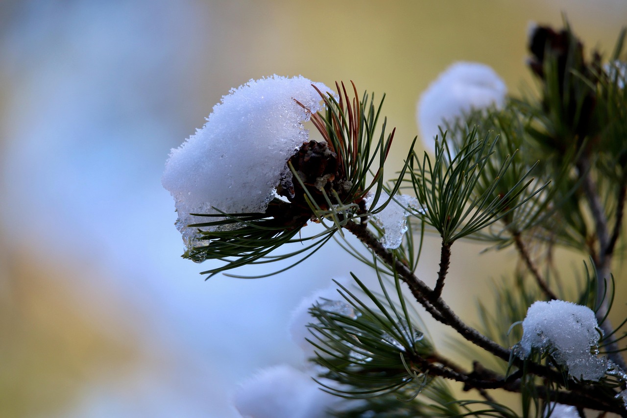 손을 비비면 왜 따뜻해질까 마찰열과 혈액순환으로 풀어보는 과학원리