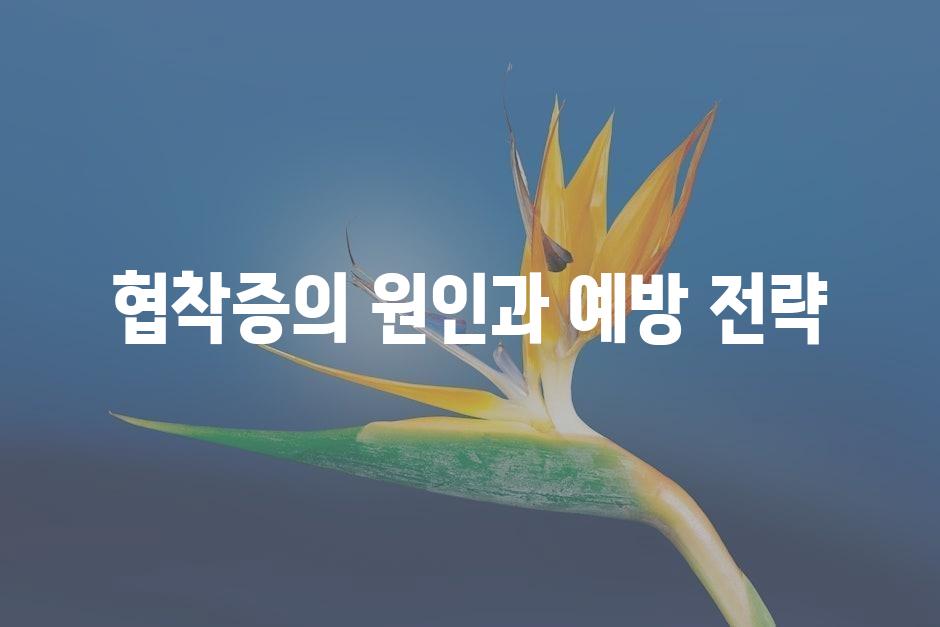 샘플 (45)