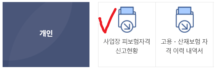 사업장 피보험자격 신고현황