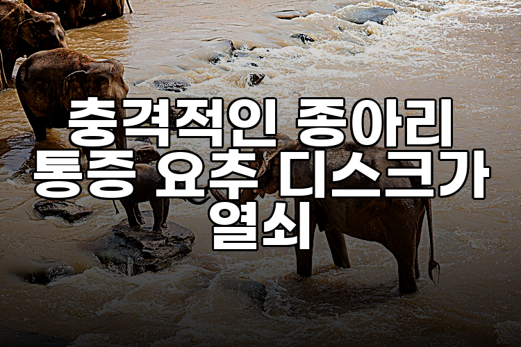충격적인 종아리 통증 요추 디스크가 열쇠