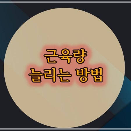 근육량-늘리는-방법