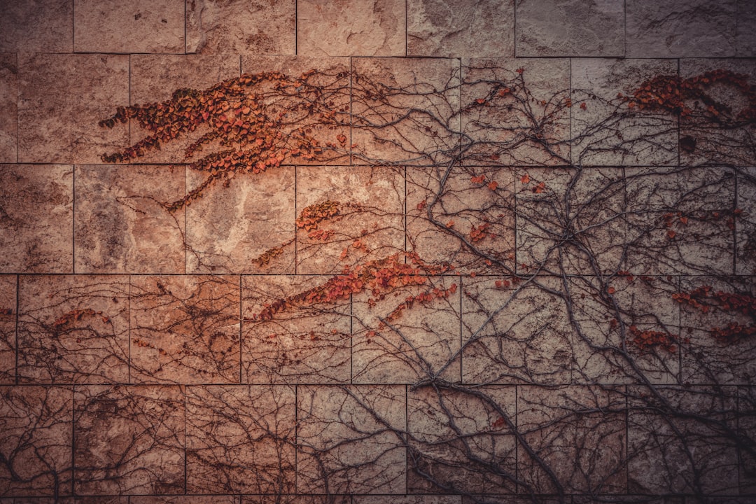 노선도 — route map