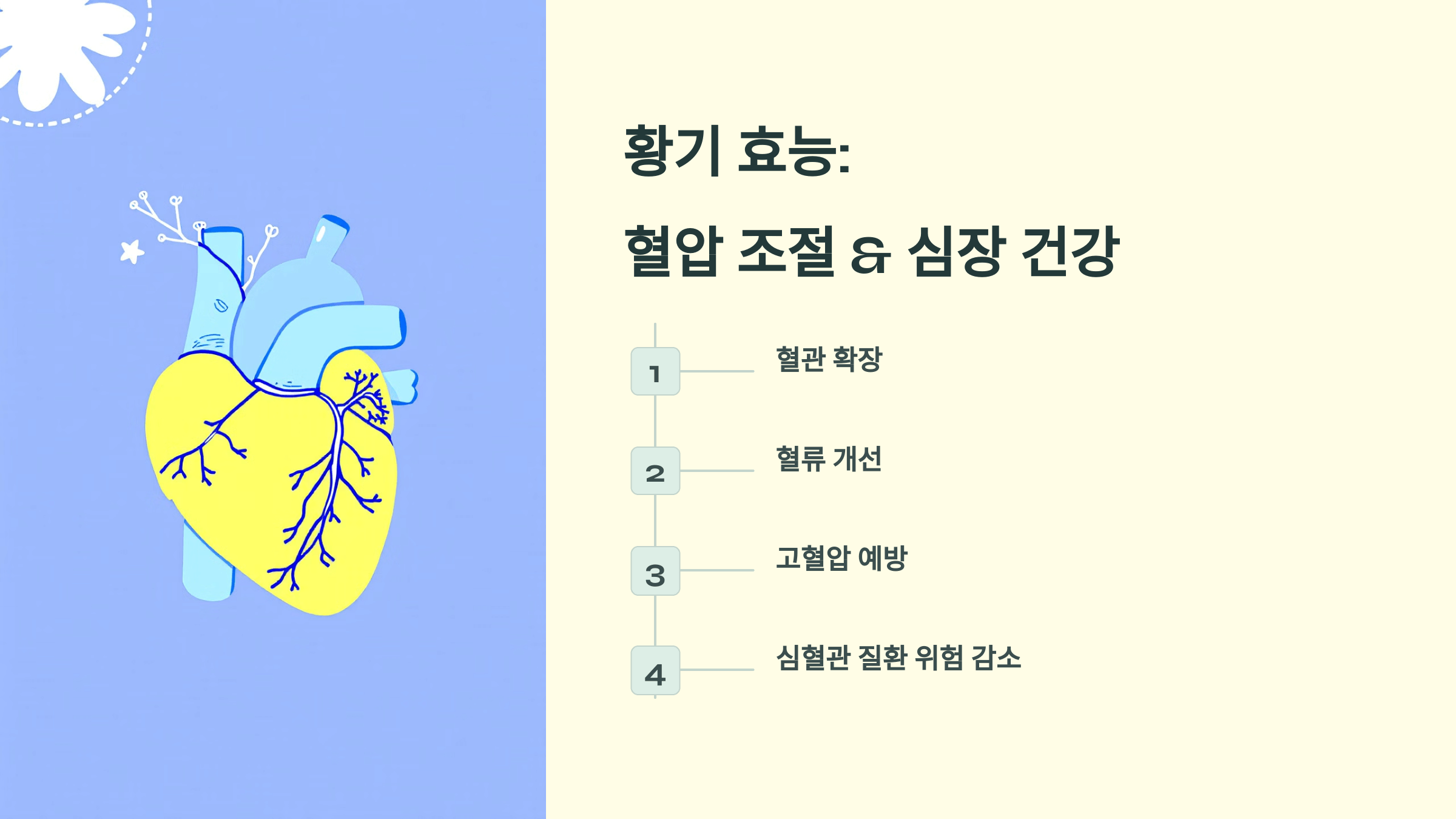 황기 사진입니다.