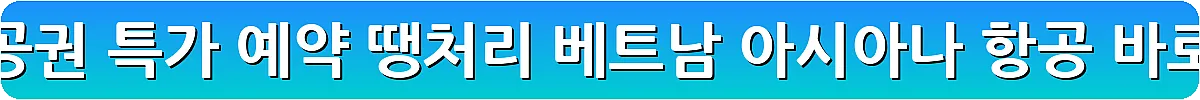 다낭 항공권 특가 예약 땡처리 베트남 아시아나 항공_2