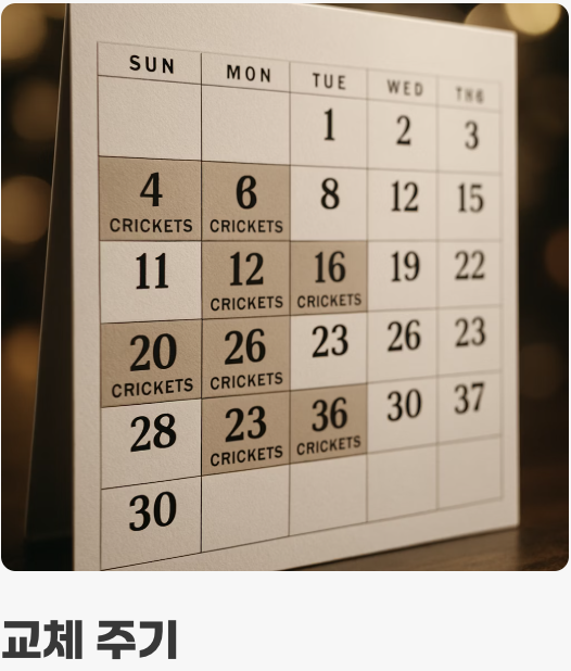 주식과 특별 간식&amp;#44; 현명한 수분 공급