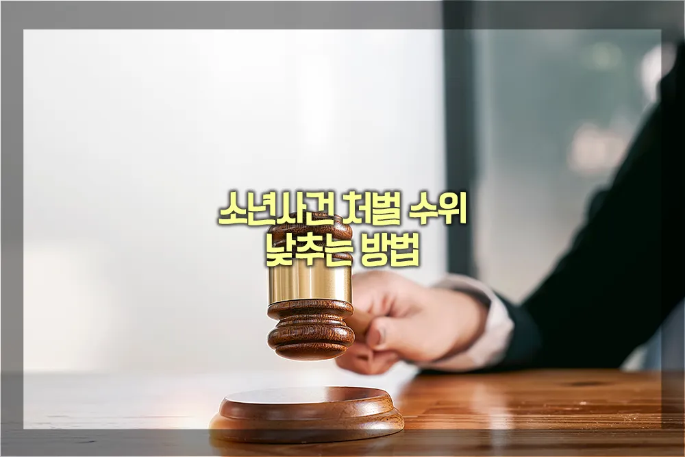 소년사건 처벌 수위 낮추는 방법