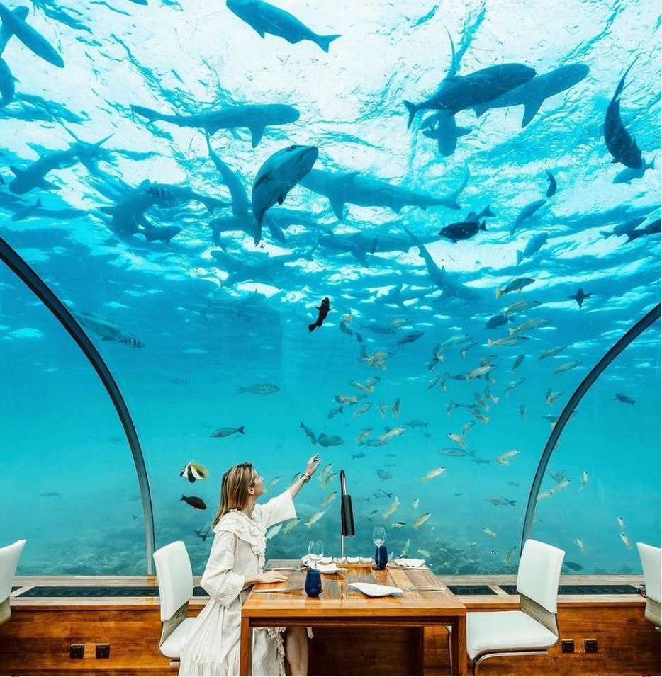 콘래드-몰디브-랑갈리-아일랜드-리조트