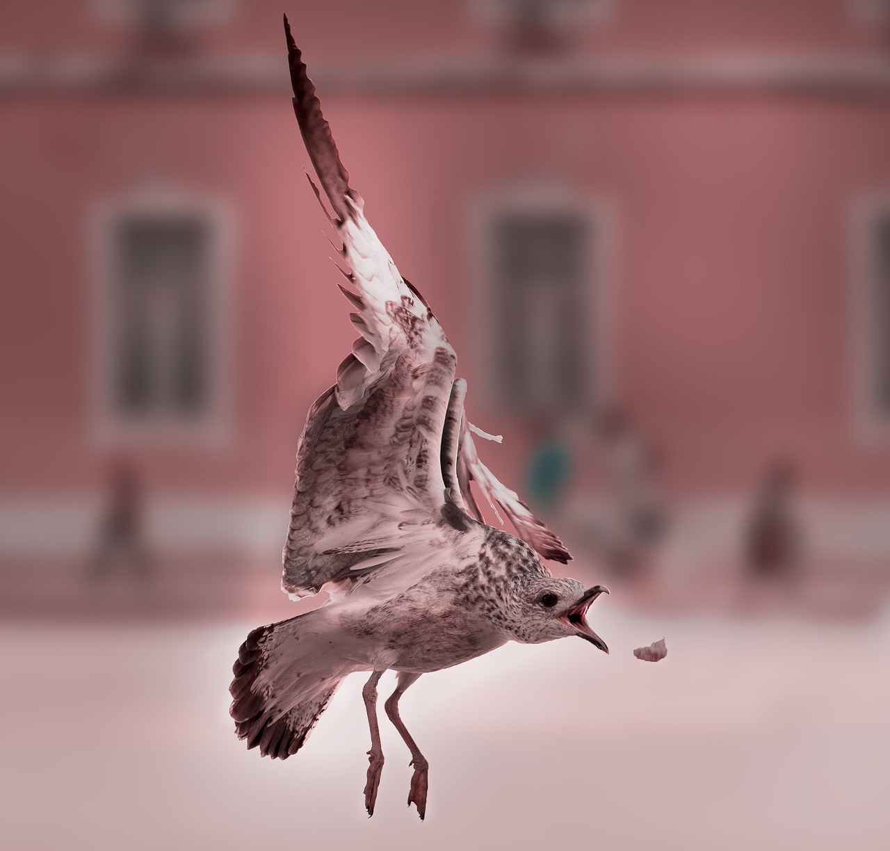 유명한 지역 축제 대부도 해솔길 걷기