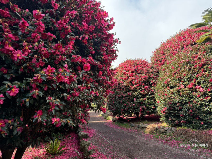 당일치기로 다녀오기 좋은 1월 국내 겨울 여행지 BEST 4 추천