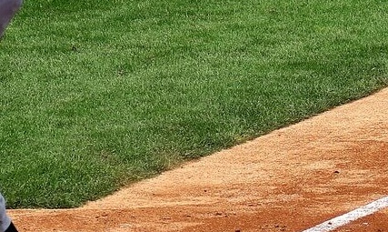 2025년 롯데자이언츠 예매 방법 총정리, 사직구장 직관 성공 꿀팁!