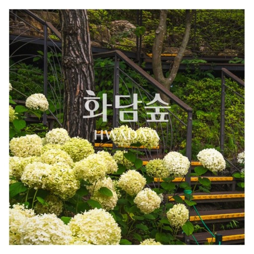 화담숲