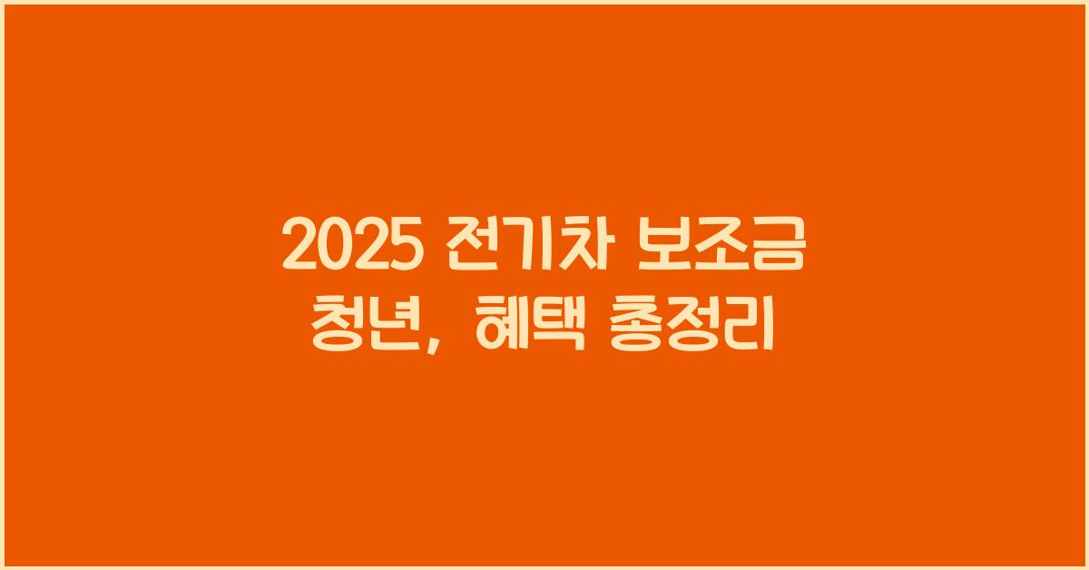 2025 전기차 보조금 청년