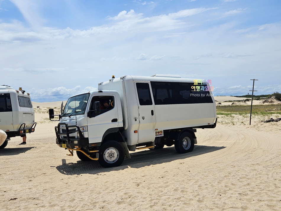 호주 시드니 사막 포트스테판 투어 솔직후기 가격 코스 야생 돌고래 크루즈