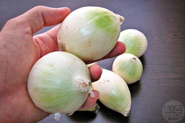 니코틴 빼는음식 양파 기능성 자연식재료 폐암