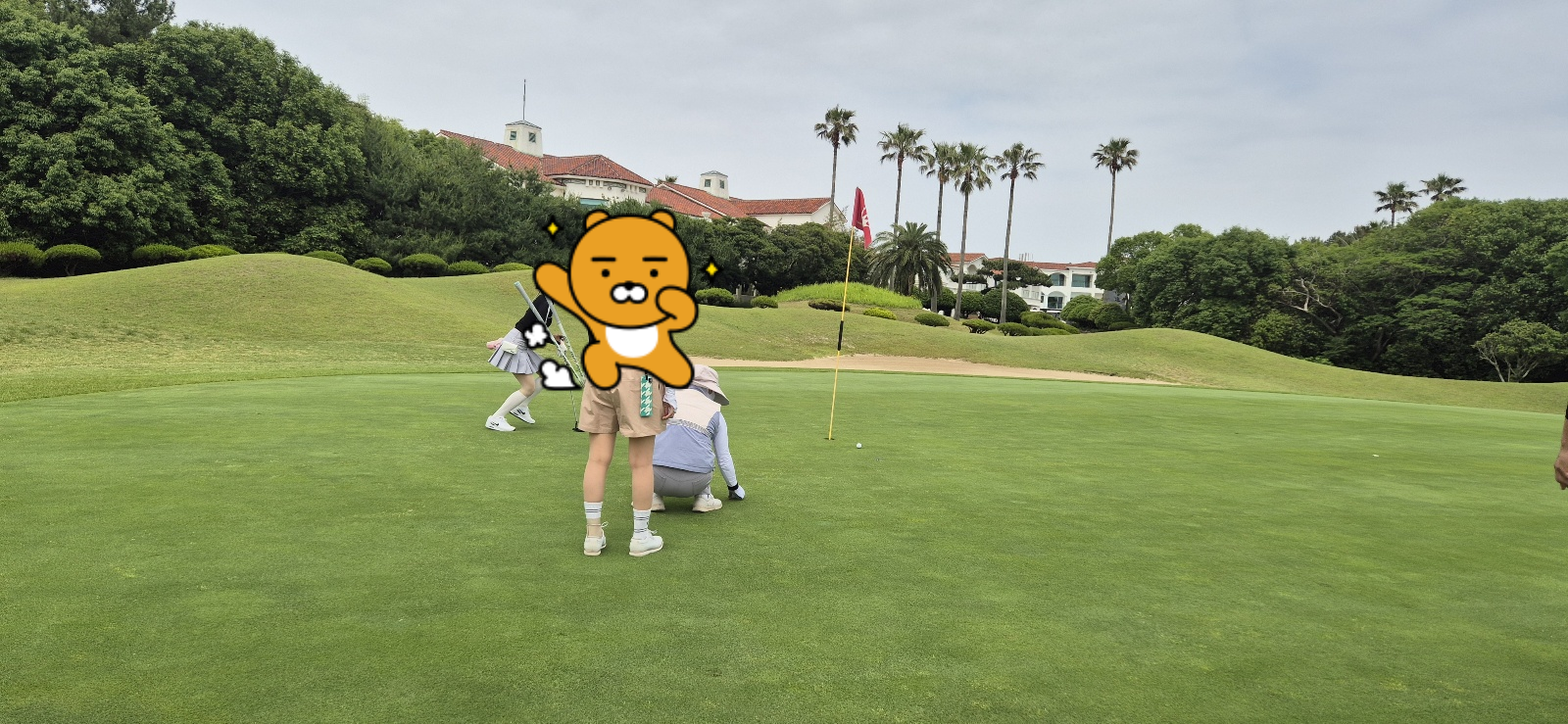그린