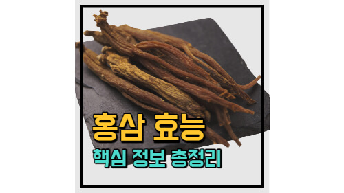블로그 썸네일 이미지