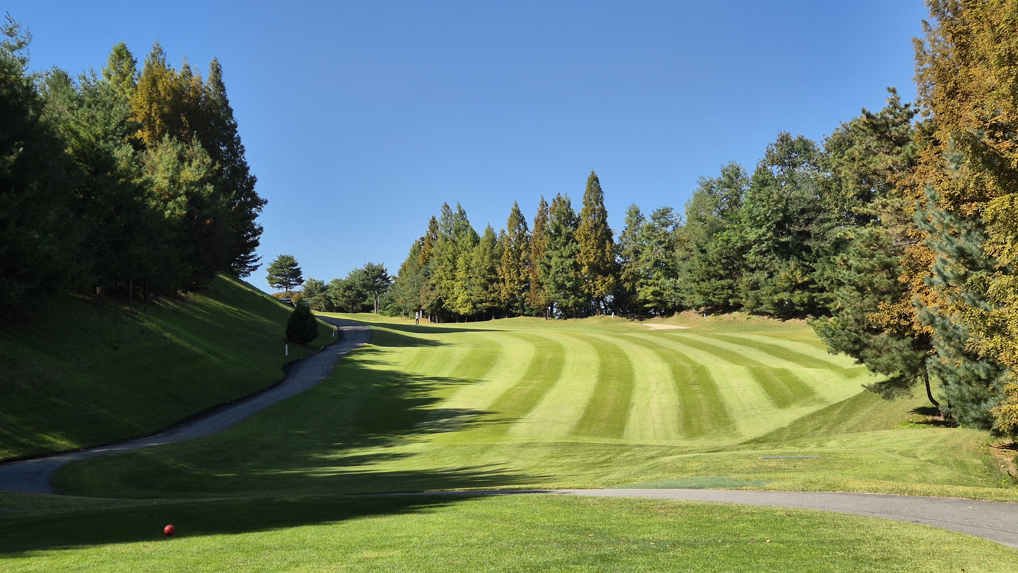떼제베CC 북(마루)코스 사진 및 공략 정보