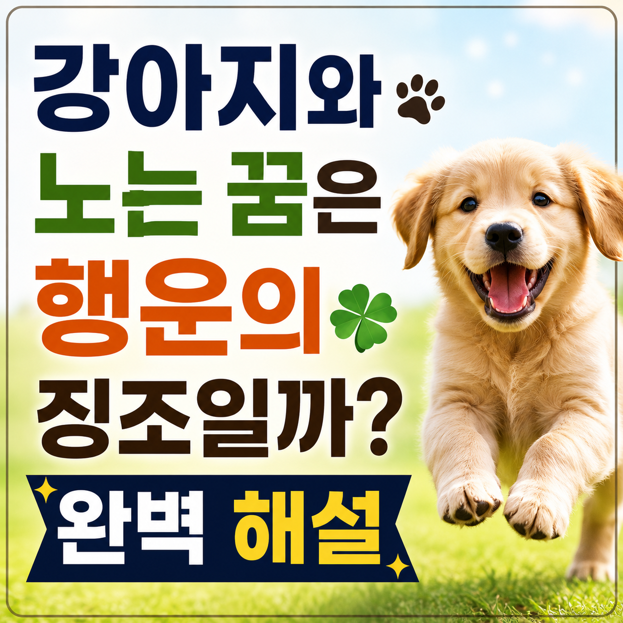 강아지와 노는 꿈