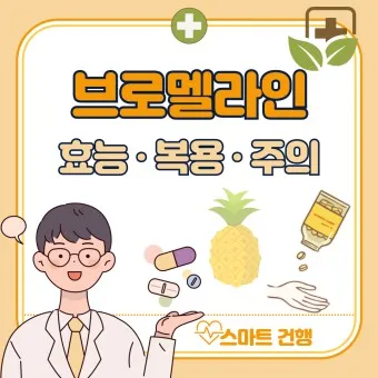 브로멜라인아이 정의 효능 섭취방법 주의사항_12