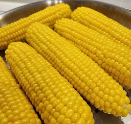 초당옥수수