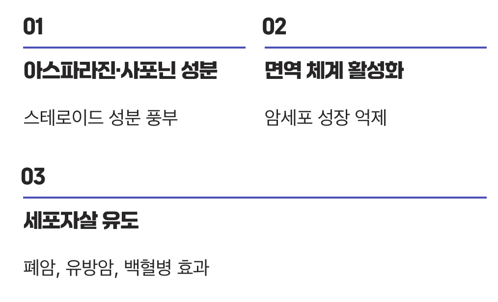3. 암세포에 맞서는 강력한 방패&amp;#44; &amp;#39;항암효과&amp;#39;