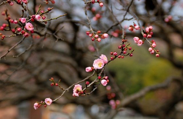 11월 여행지 추천 - 가을 감성 가득한 국내 명소 BEST 5