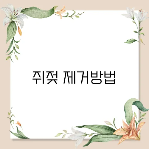 쥐젖 제거방법