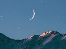 대표 무료 2026신년운세 사이트 3곳 정리 