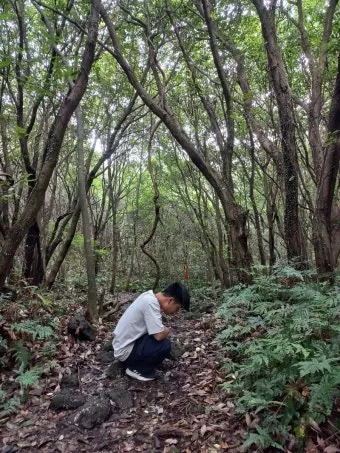 제주 곶자왈 숲길 산책 원시림 초록 힐링 여행_8