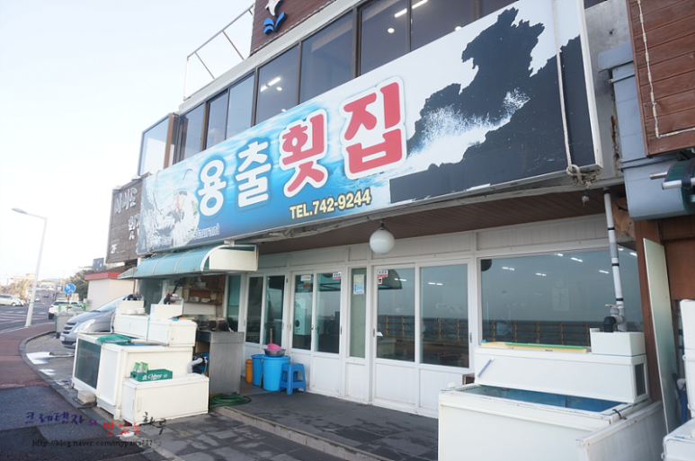 제주 갓돔 맛집, 용출횟집