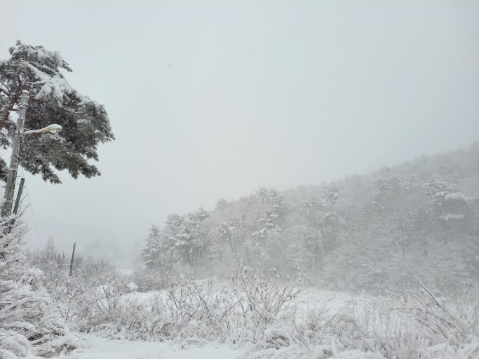 스노우 체인 스프레이
