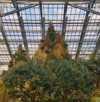 우리꽃식물원 6일간 무료 개방