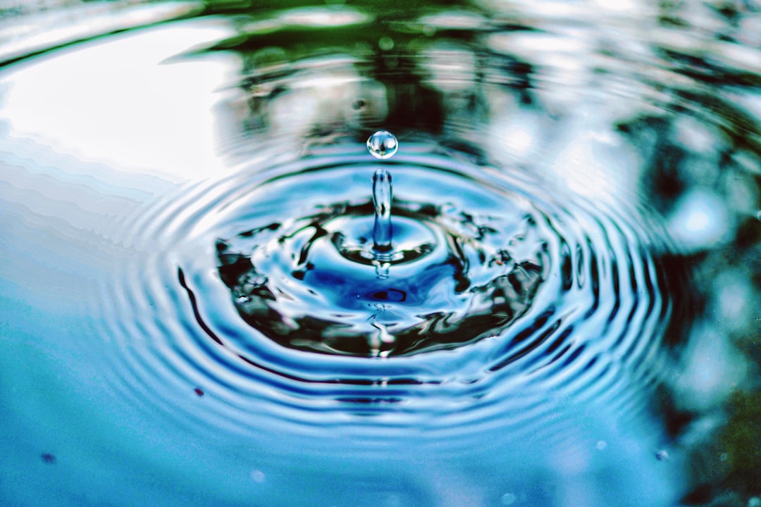 Water purifier