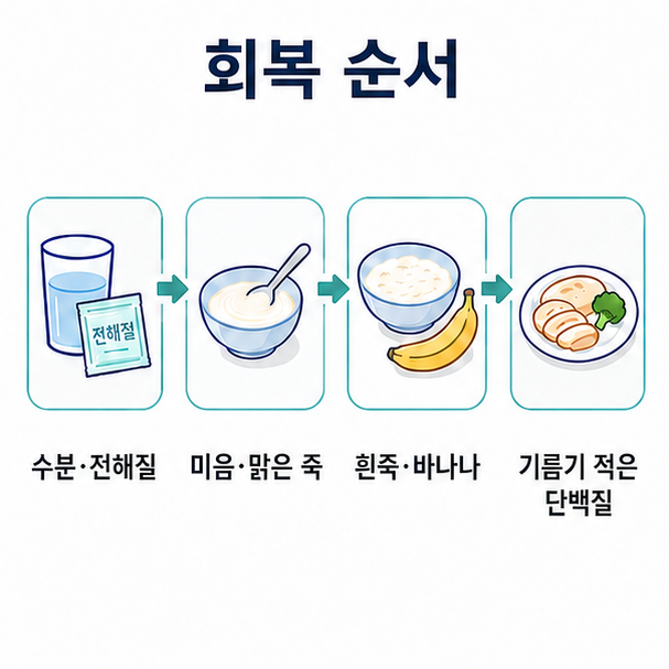 장염 회복기 식사 순서, 수분과 전해질에서 미음과 죽, 흰죽과 바나나, 단백질로 이어지는 단계 도해