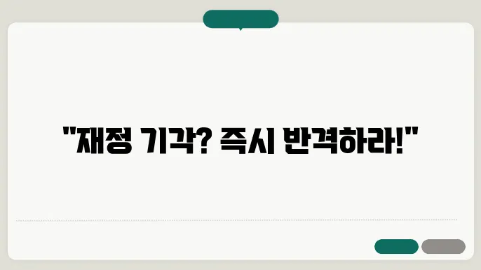 즉시 항고의 효과와 중요성