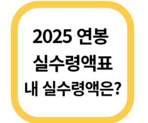 2025 연봉 실수령액표