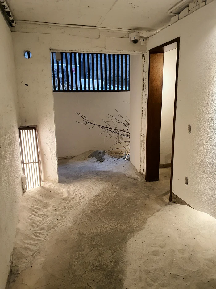 청수당갤러리 반지하 포토존