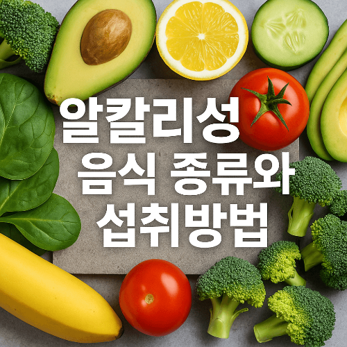 알칼리성 음식 종류와 섭취방법