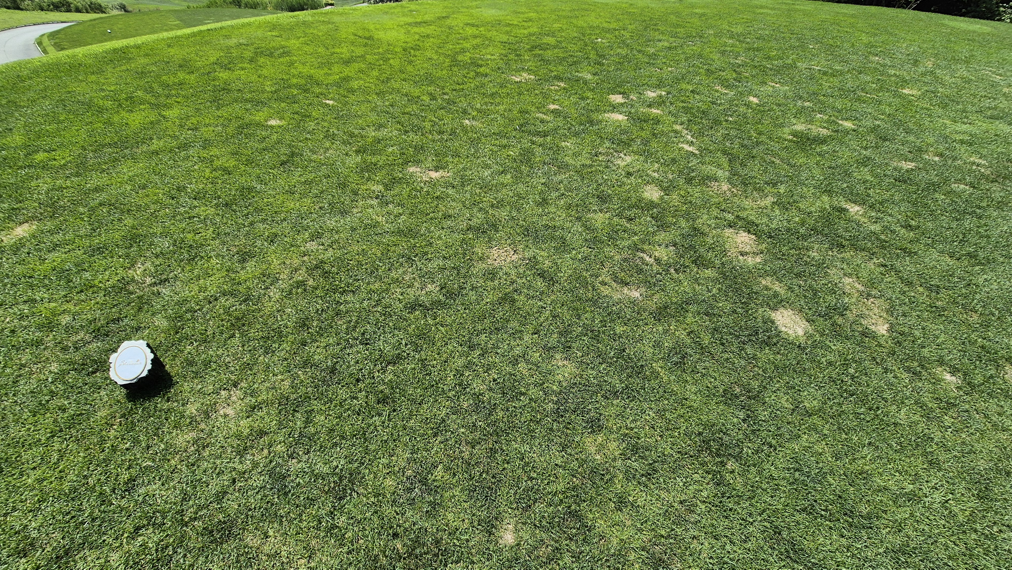 샤인데일cc 라운드 후기