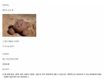 가는 똥 이유와 똥이 가늘게 나오는 이유 분석_12