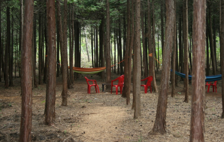 장흥 하늘빛수목원